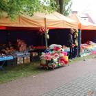 zdjęcie nr 39