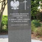 zdjęcie nr 13