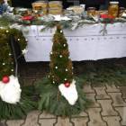 zdjęcie nr 15