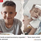 Fotka nr 4 z 5