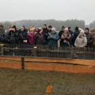 zdjęcie nr 13
