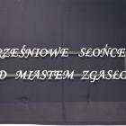 zdjęcie nr 23