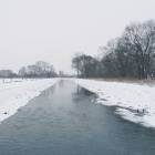 zdjęcie nr 14