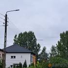 Fotka nr 2 z 7