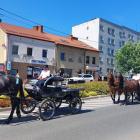 zdjęcie nr 116
