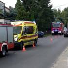 Fotka nr 2 z 3