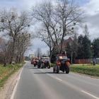 zdjęcie nr 132