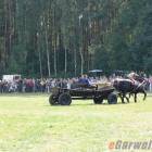 Fotka nr 3 z 126