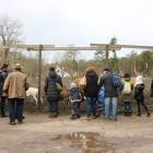 zdjęcie nr 31