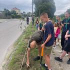 zdjęcie nr 16