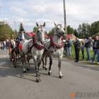 zdjęcie nr 15