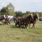 zdjęcie nr 74