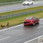 zdjęcie nr 7