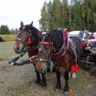 zdjęcie nr 78