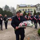 zdjęcie nr 12