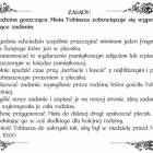 Fotka nr 4 z 7