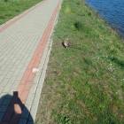 zdjęcie nr 18