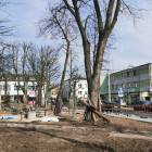 zdjęcie nr 7