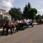zdjęcie nr 100