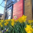 Fot: Miasto i Gmina Pilawa