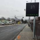 zdjęcie nr 10