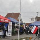 zdjęcie nr 439
