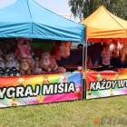 zdjęcie nr 29
