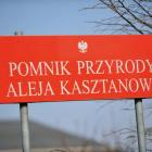 Fotka nr 0 z 6