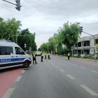 zdjęcie nr 197