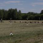 Fotka nr 1 z 114