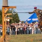 zdjęcie nr 181
