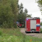 Fotka nr 5 z 104
