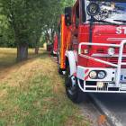 Fotka nr 1 z 7