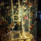 Publiczna Szkoła Podstawowa nr 2 im. 1 Pułku Strzelców Konnych w Garwolinie - 