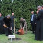 zdjęcie nr 136