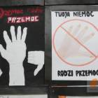zdjęcie nr 12
