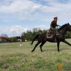 zdjęcie nr 93