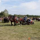 zdjęcie nr 104