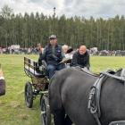 zdjęcie nr 56