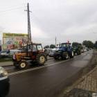 zdjęcie nr 46