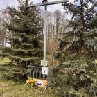 zdjęcie nr 81