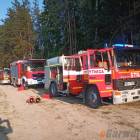 Fotka nr 2 z 3