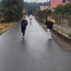 Fotka nr 2 z 96