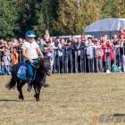 zdjęcie nr 108