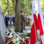 zdjęcie nr 45