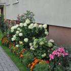 zdjęcie nr 16