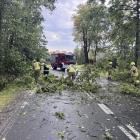 zdjęcie nr 32