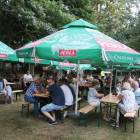 zdjęcie nr 31