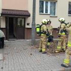 Fotka nr 2 z 16