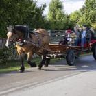 zdjęcie nr 77